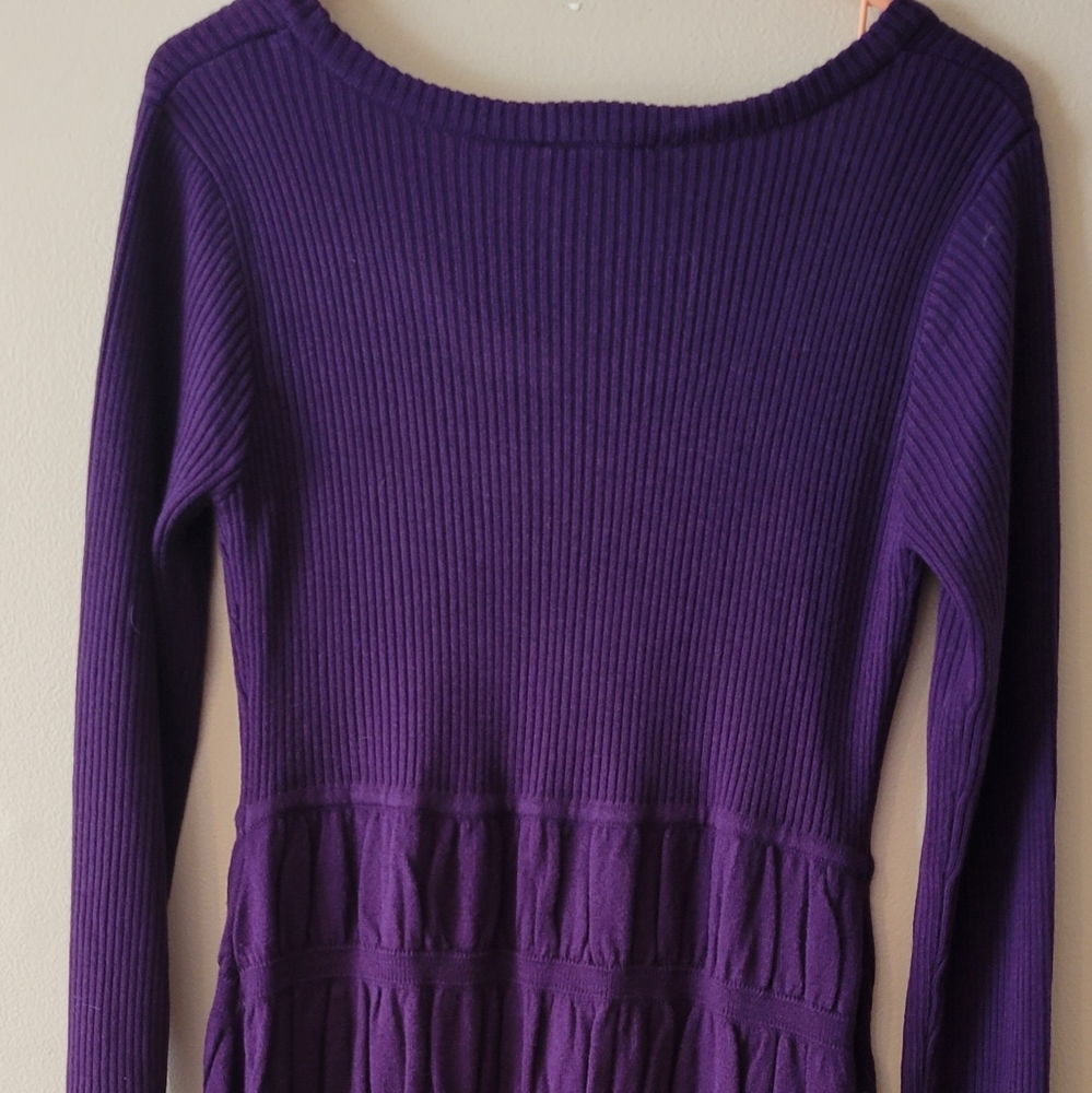 NWT purple sweater dress